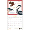 image Effin Birds 2025 Wall Calendar First Alternate Image width=&quot;1000&quot; height=&quot;1000&quot;