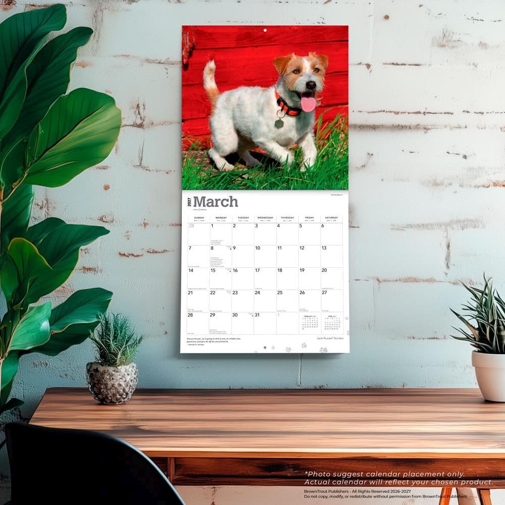 Jack Russell Terriers 2027 Wall Calendar Fourth Alternate Image