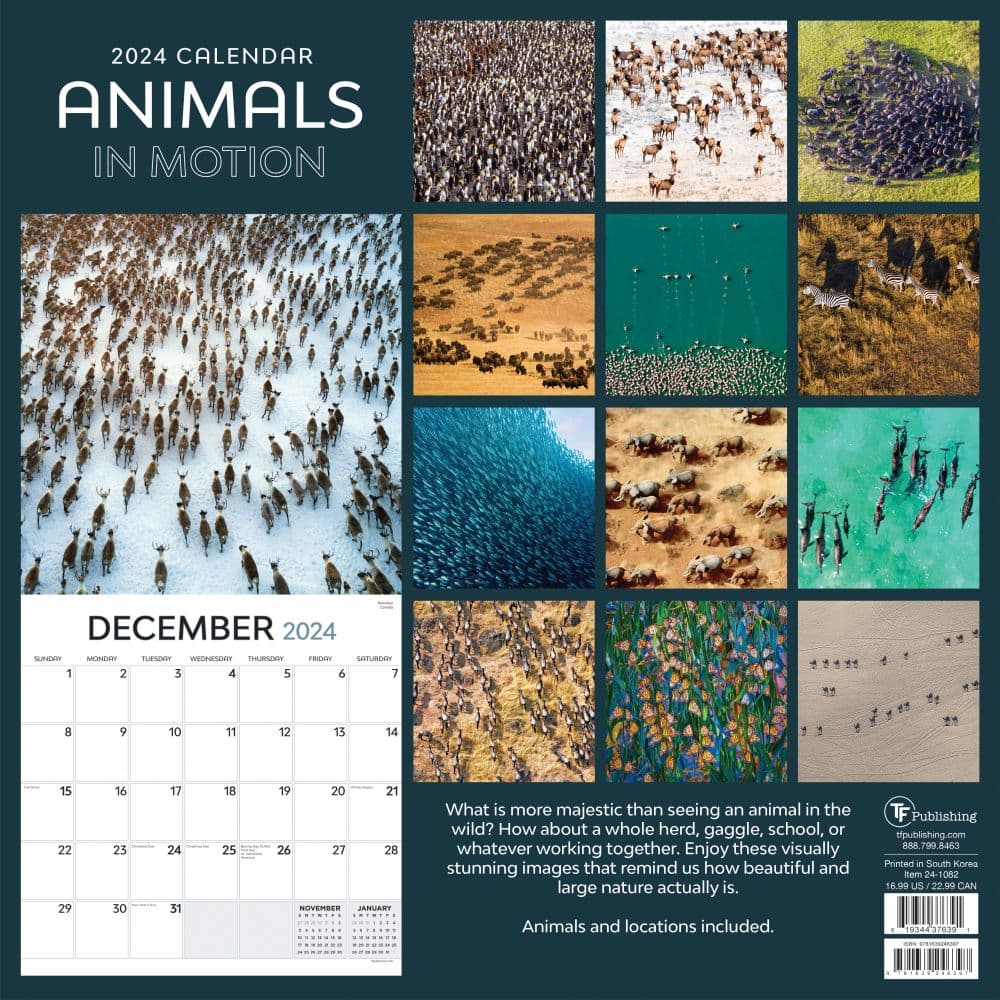 Animals In Motion 2024 Wall Calendar First Alternate Image width="1000" height="1000"