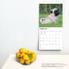 image Pug Puppies 2024 Wall Calendar Third Alternate Image width=&quot;1000&quot; height=&quot;1000&quot;