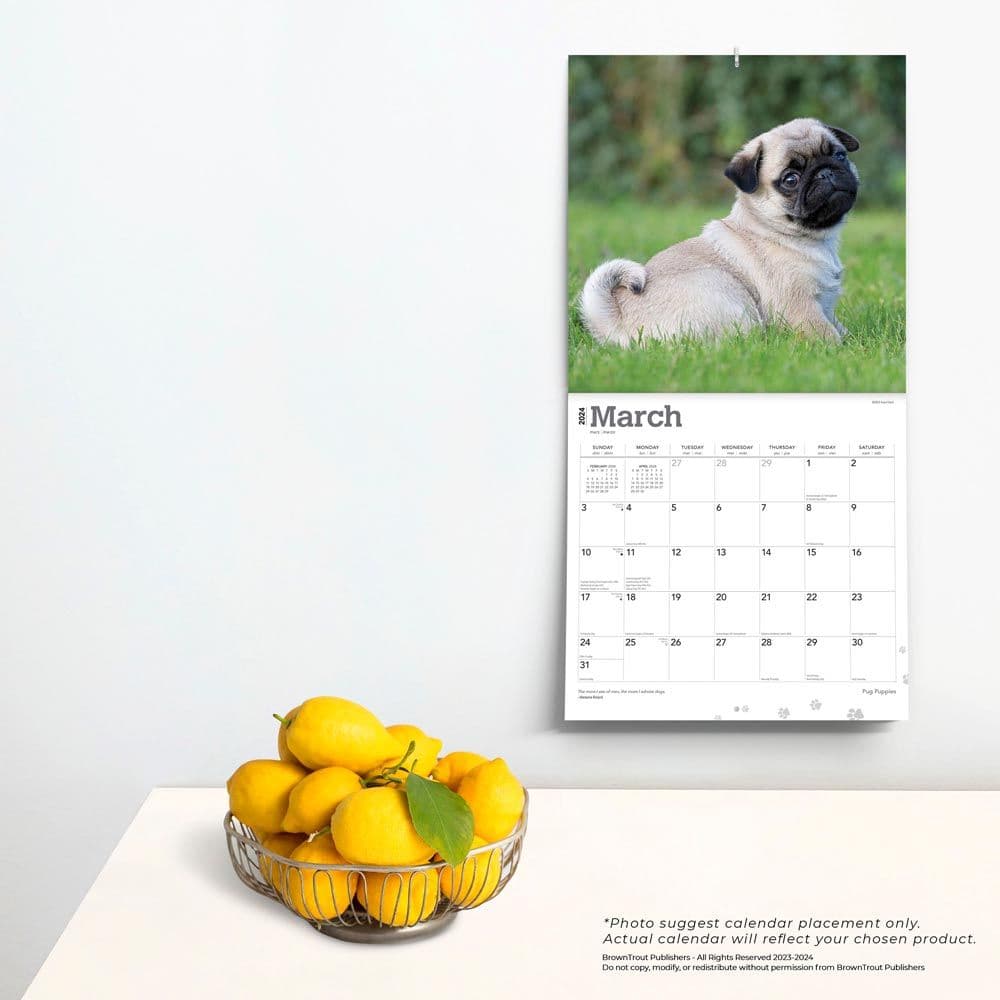 Pug Puppies 2024 Wall Calendar Third Alternate Image width=&quot;1000&quot; height=&quot;1000&quot;