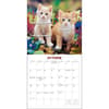 image What the F*ck Kitty? 2024 Wall Calendar Fourth Alternate Image width=&quot;1000&quot; height=&quot;1000&quot;