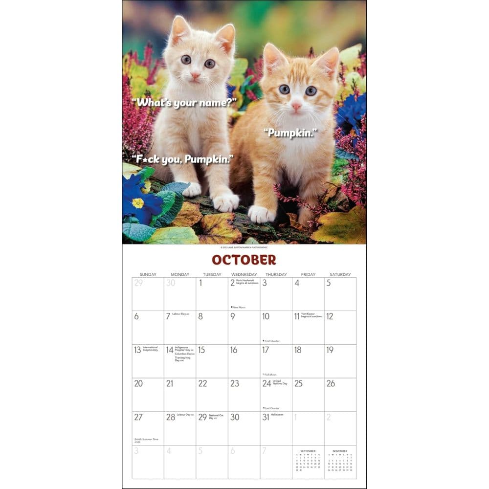 What the F*ck Kitty? 2024 Wall Calendar Fourth Alternate Image width=&quot;1000&quot; height=&quot;1000&quot;