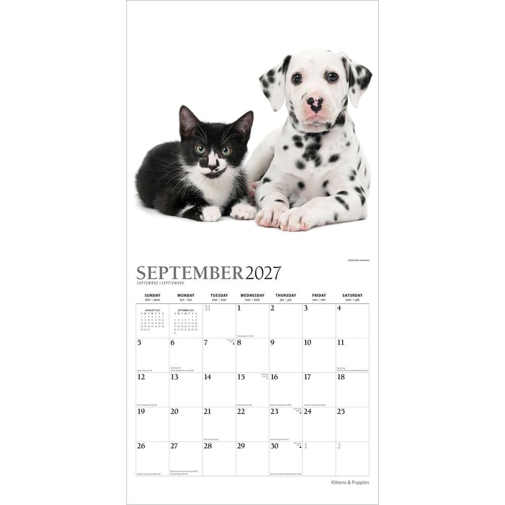 Kittens And Puppies Plato 2027 Wall Calendar Third Alternate Image