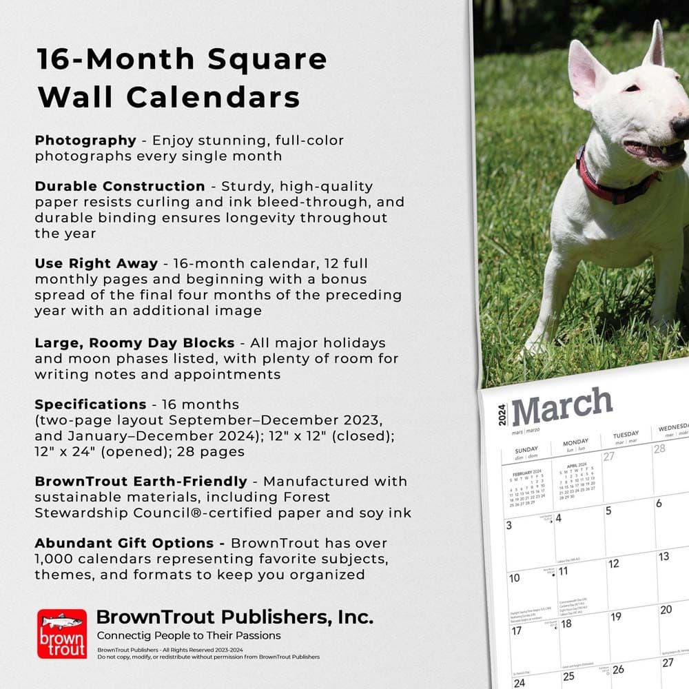 Bull Terriers 2024 Wall Calendar