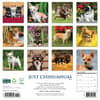 image Just Chihuahuas 2026 Wall Calendar First Alternate Image