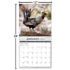 image Fancy Chickens Photo 2026 Wall Calendar