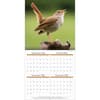 image Songbirds 2027 Wall Calendar Second Alternate Image