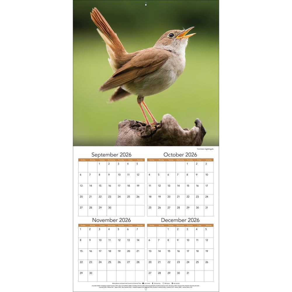 Songbirds 2027 Wall Calendar Second Alternate Image