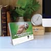 image Animal Antics 2026 Desk Calendar