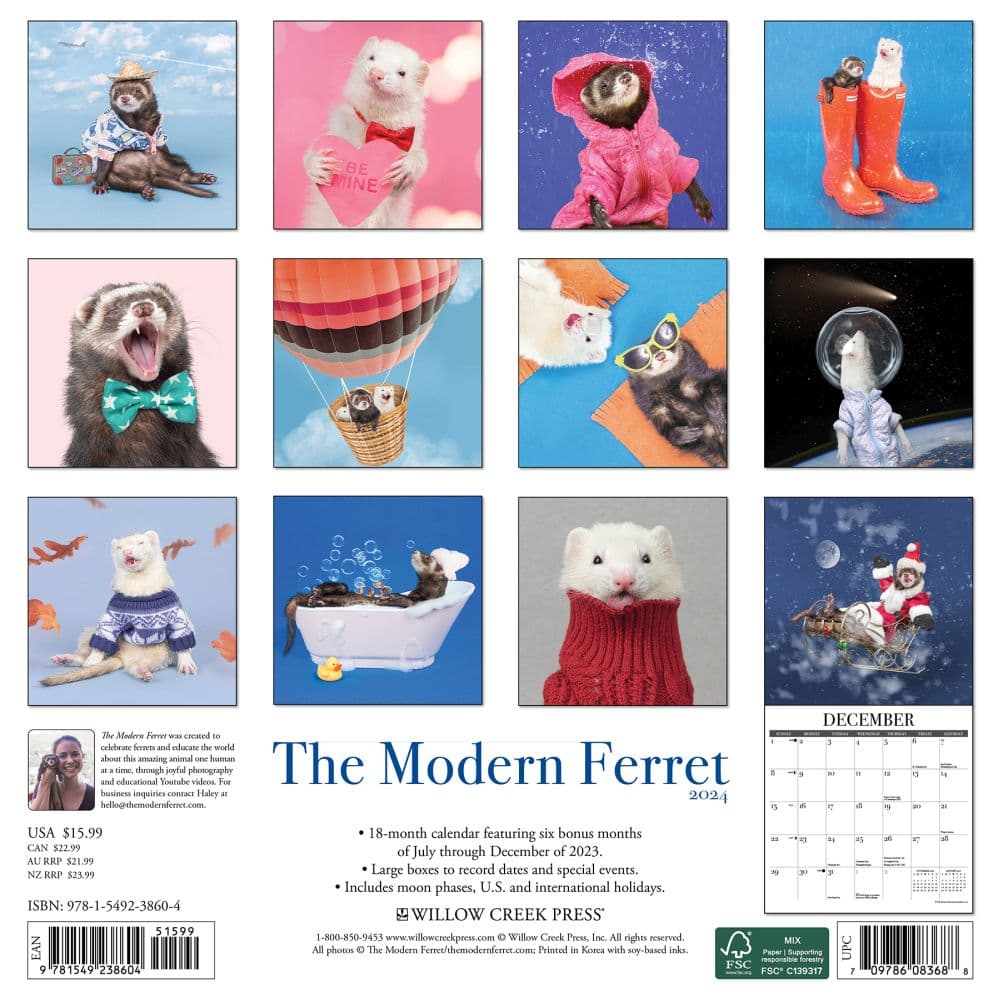 Modern Ferret 2024 Wall Calendar