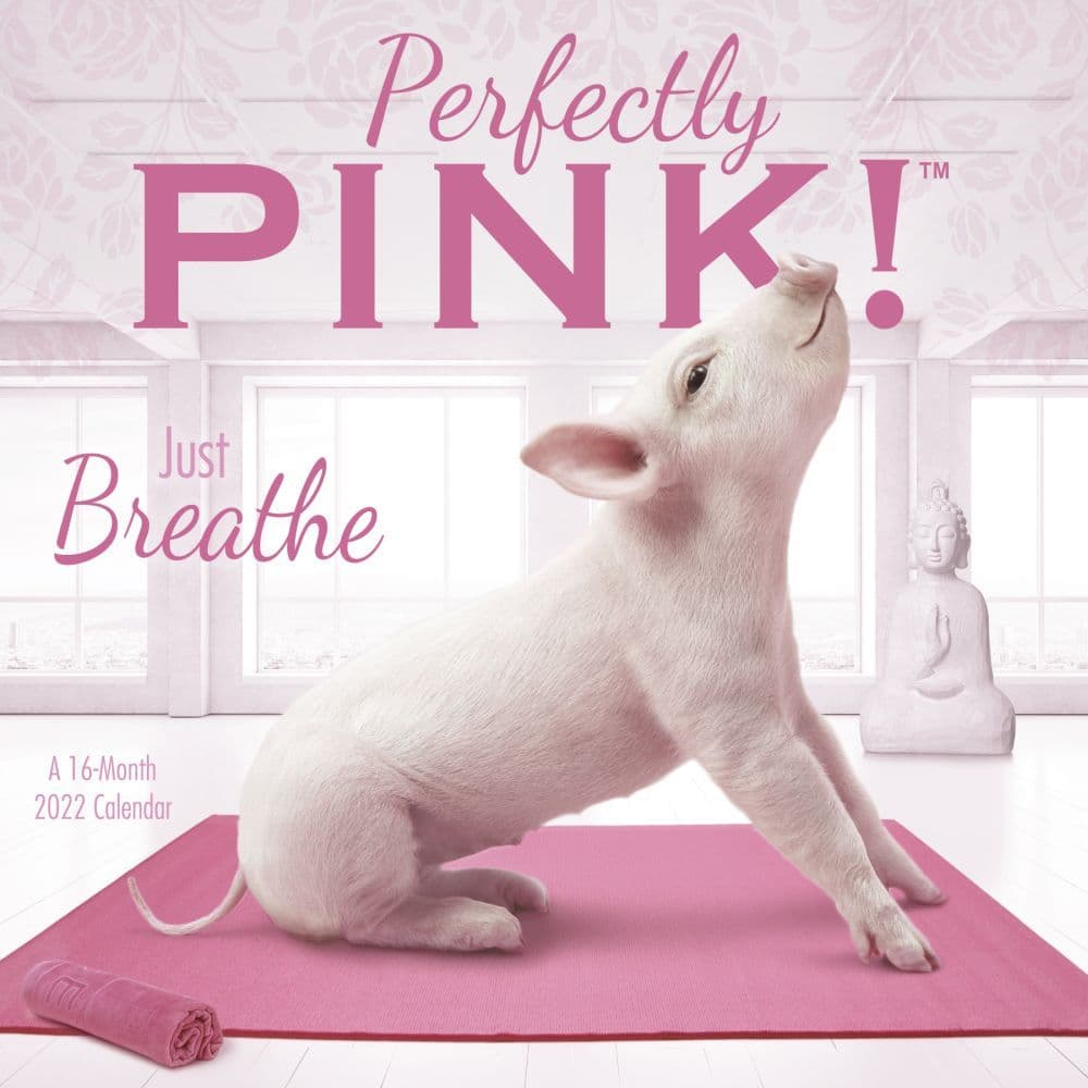 Perfectly Pink 2022 Wall Calendar