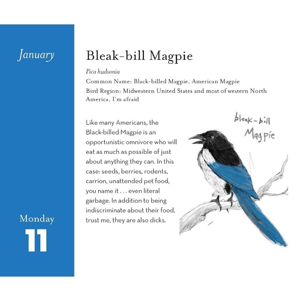 Field Guide to Dumb Birds 2027 Desk Calendar Sixth Alternate Image