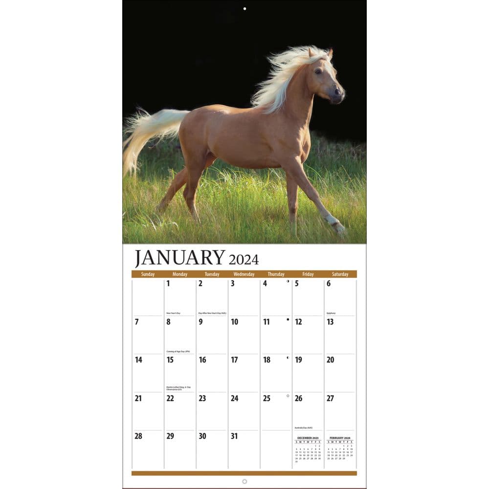 Horses 2024 Mini Wall Calendar Third Alternate Image width=&quot;1000&quot; height=&quot;1000&quot;