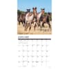 image American Quarter Horses 2025 Wall Calendar Second Alternate Image width=&quot;1000&quot; height=&quot;1000&quot;