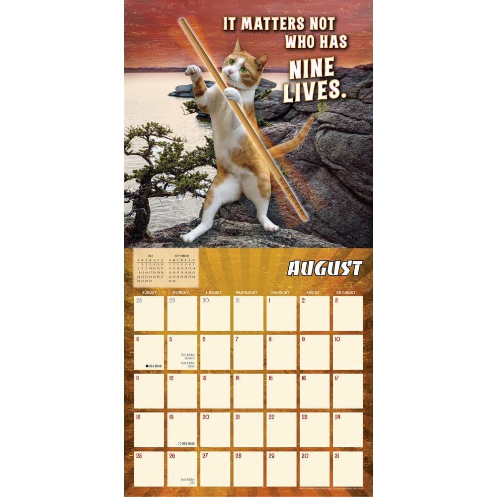 Karate Kat 2024 Wall Calendar