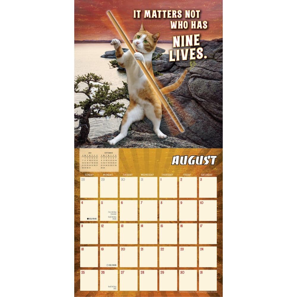 Karate Kat 2024 Wall Calendar Alternate Image 3