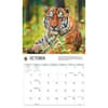image Wild Cats WWF 2026 Wall Calendar Fourth Alternate Image