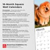 image Chow Chows 2024 Wall Calendar Fourth Alternate Image width=&quot;1000&quot; height=&quot;1000&quot;