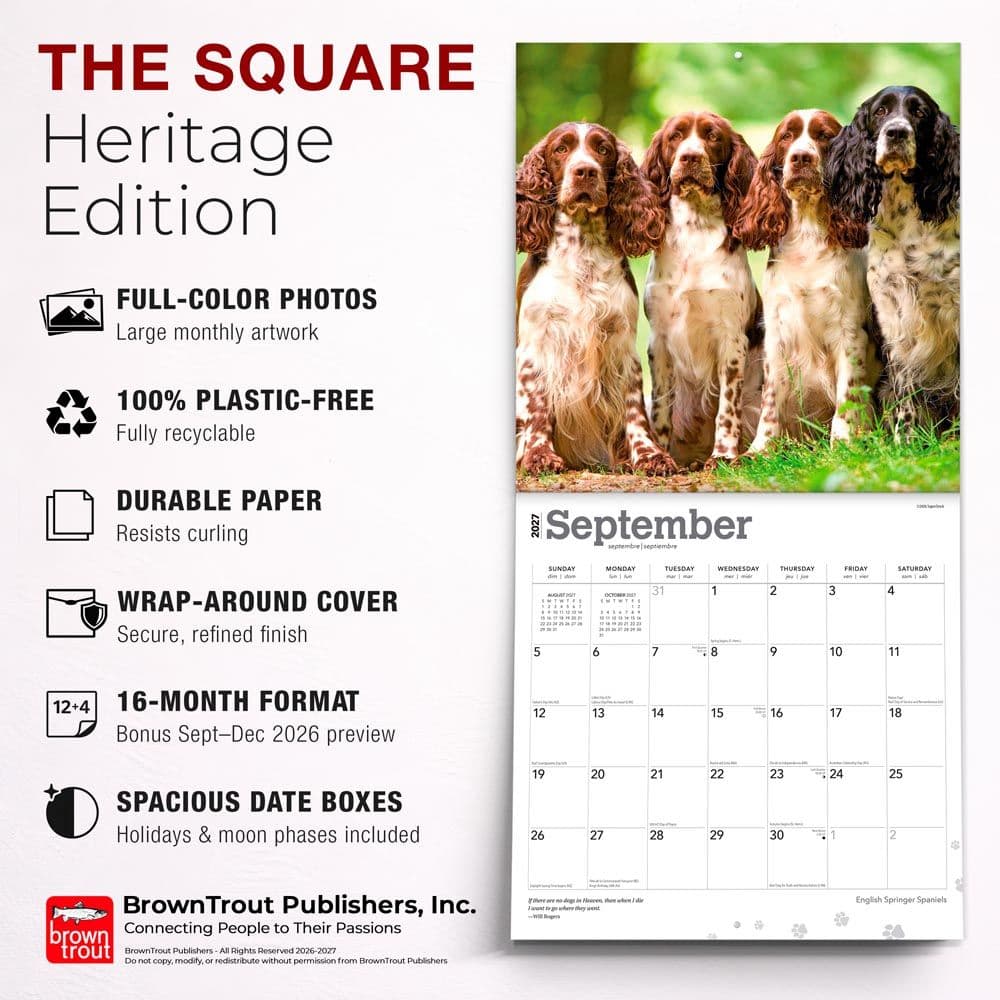 English Springer Spaniels 2027 Wall Calendar Sixth Alternate Image