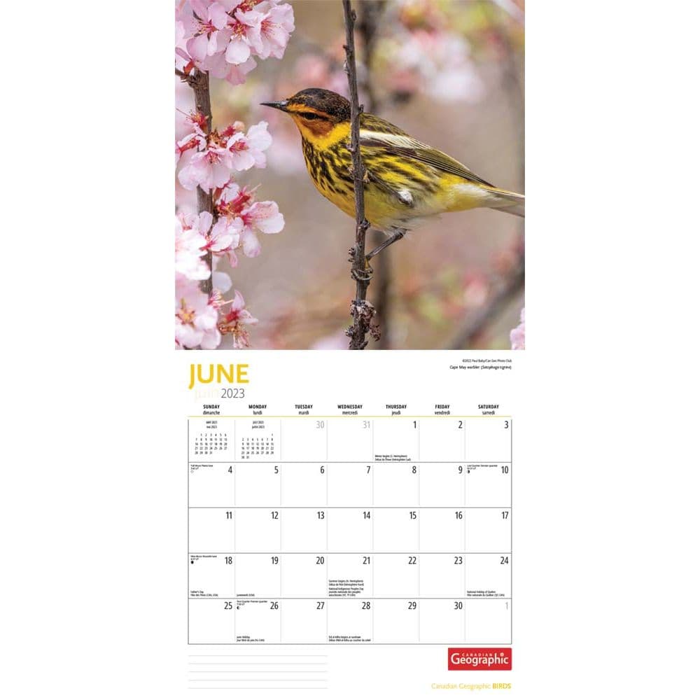 Birds 2023 Wall Calendar - Calendars.com