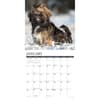 image Lhasa Apsos 2025 Wall Calendar Second Alternate Image width=&quot;1000&quot; height=&quot;1000&quot;