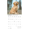 image Just Goldendoodle Puppies 2026 Wall Calendar Fourth Alternate Image