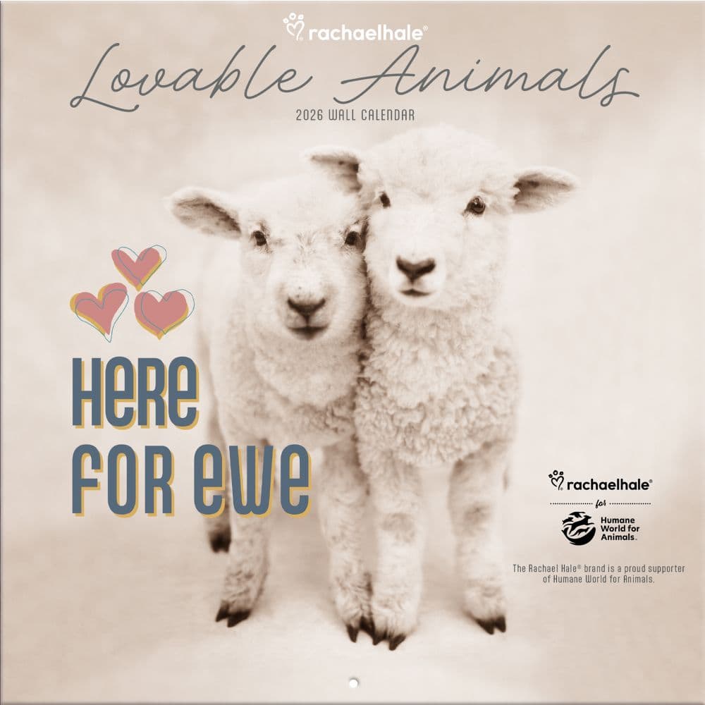 image Rachael Hale Loveable Animals 2026 Wall Calendar Main Product Image