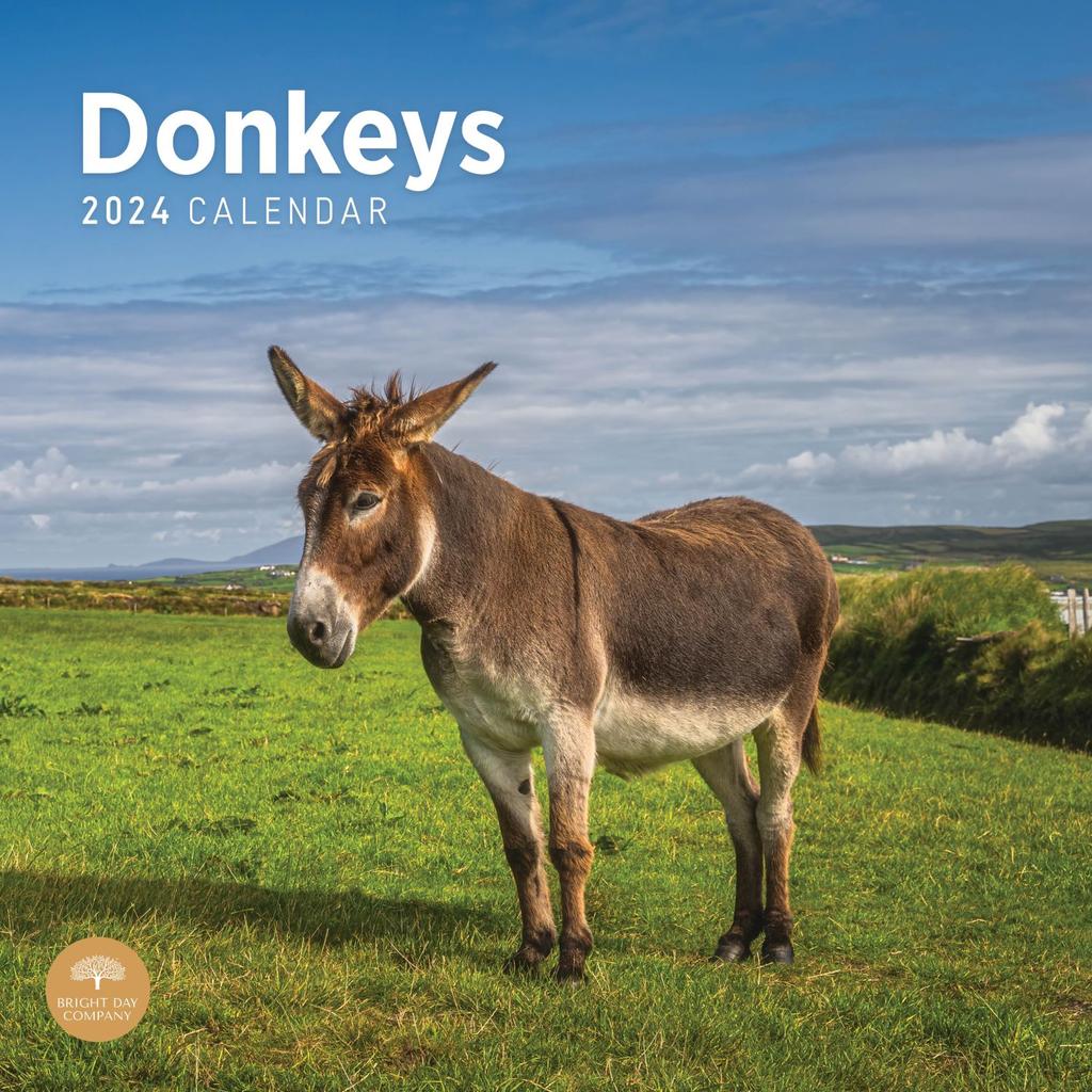 image Donkeys 2024 Wall Calendar