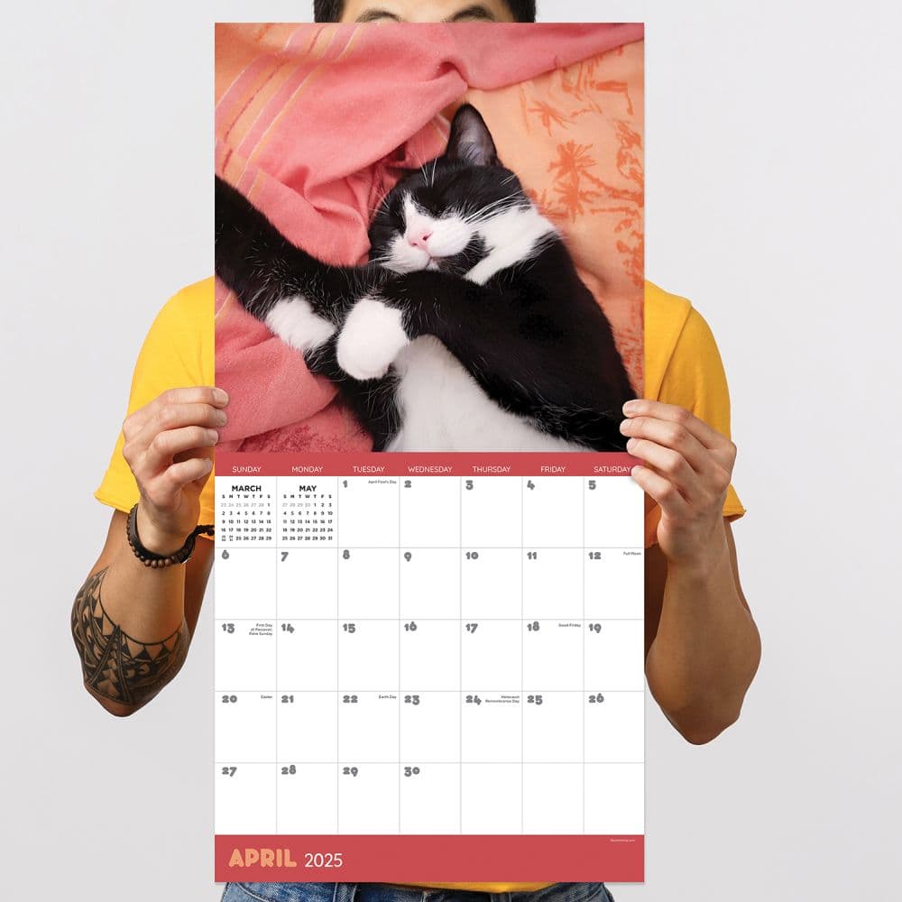 Cat Dreams 2025 Wall Calendar Fourth Alternate Image width=&quot;1000&quot; height=&quot;1000&quot;