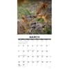 image Quokkas 2025 Wall Calendar