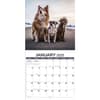 image All Mixed Up 2025 Wall Calendar Alt2