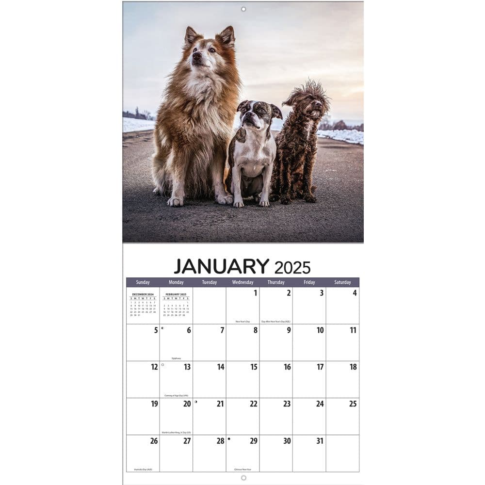 All Mixed Up 2025 Wall Calendar Alt2