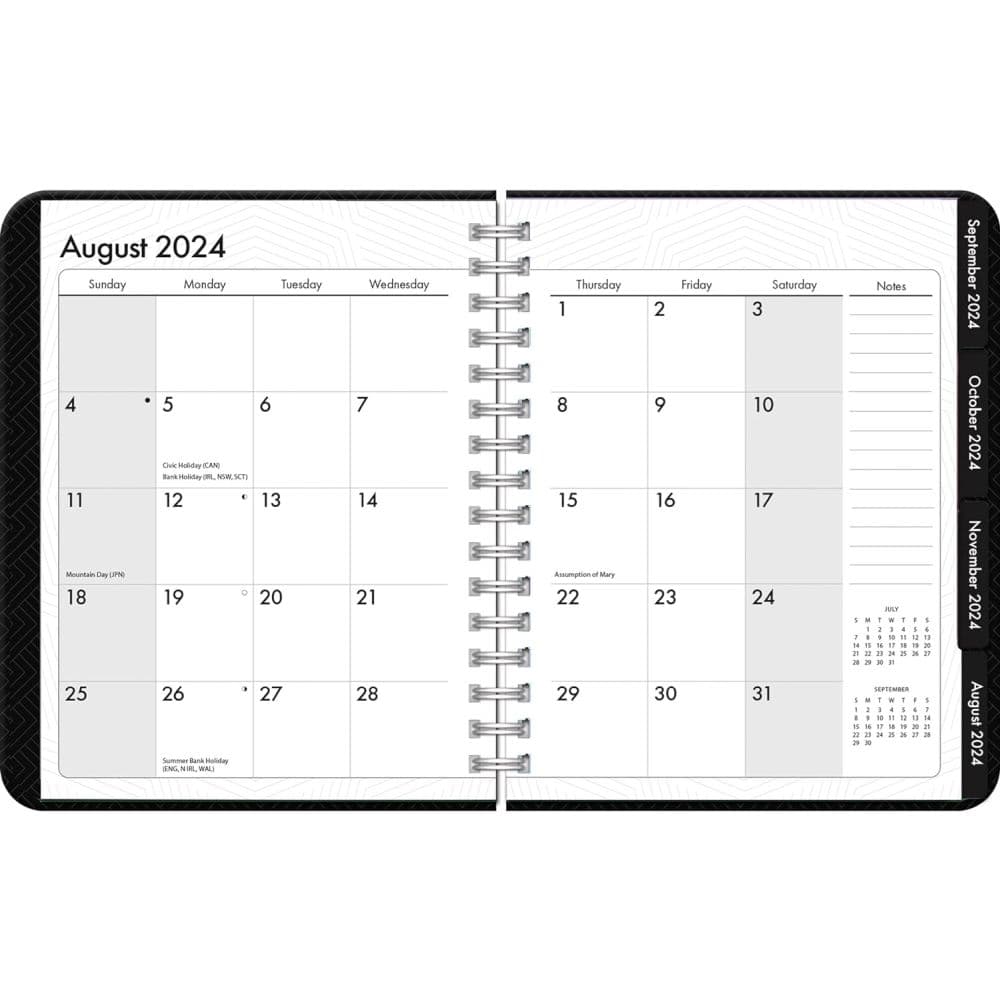 Executive 2025 Deluxe Planner
