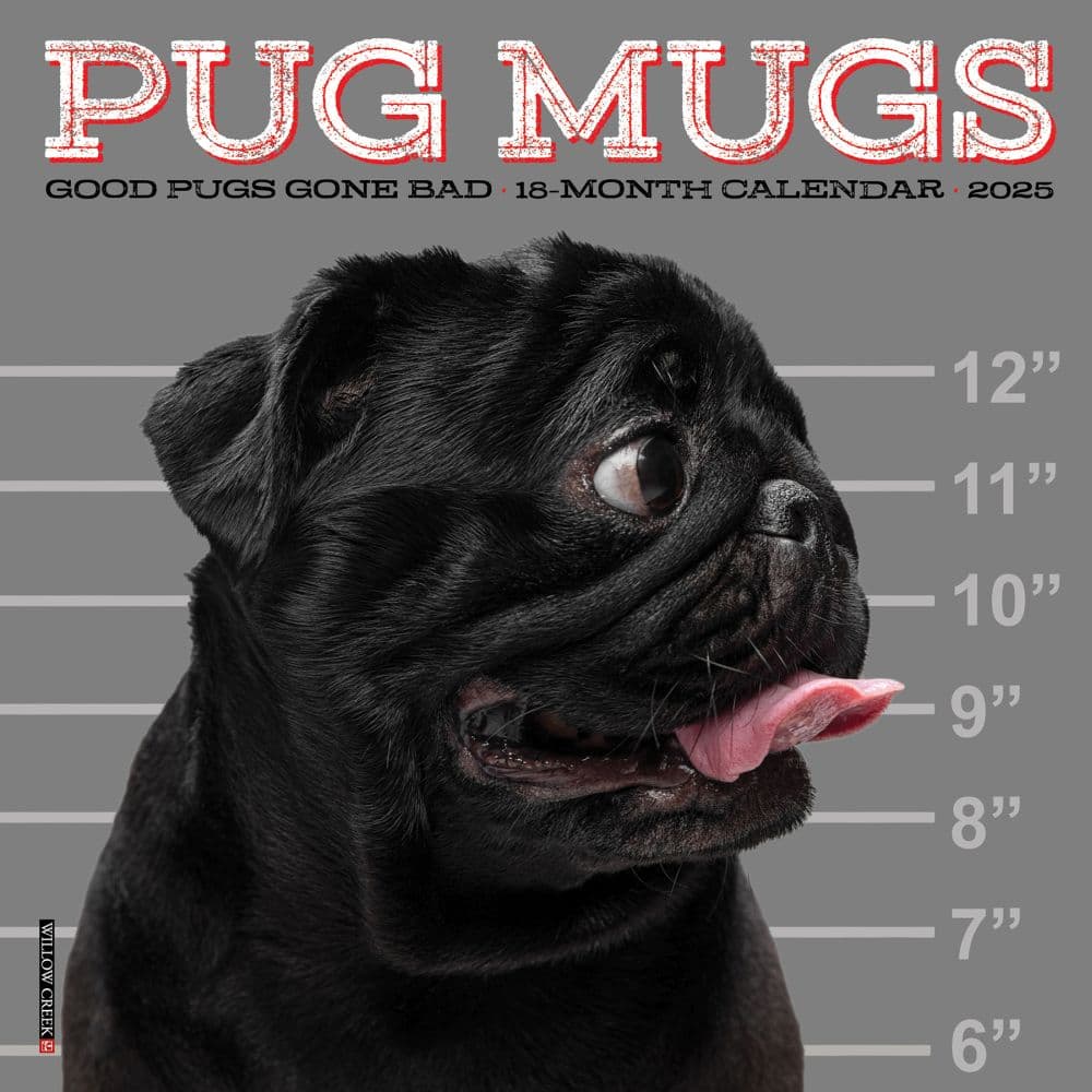 Pug Mugs 2025 Mini Wall Calendar