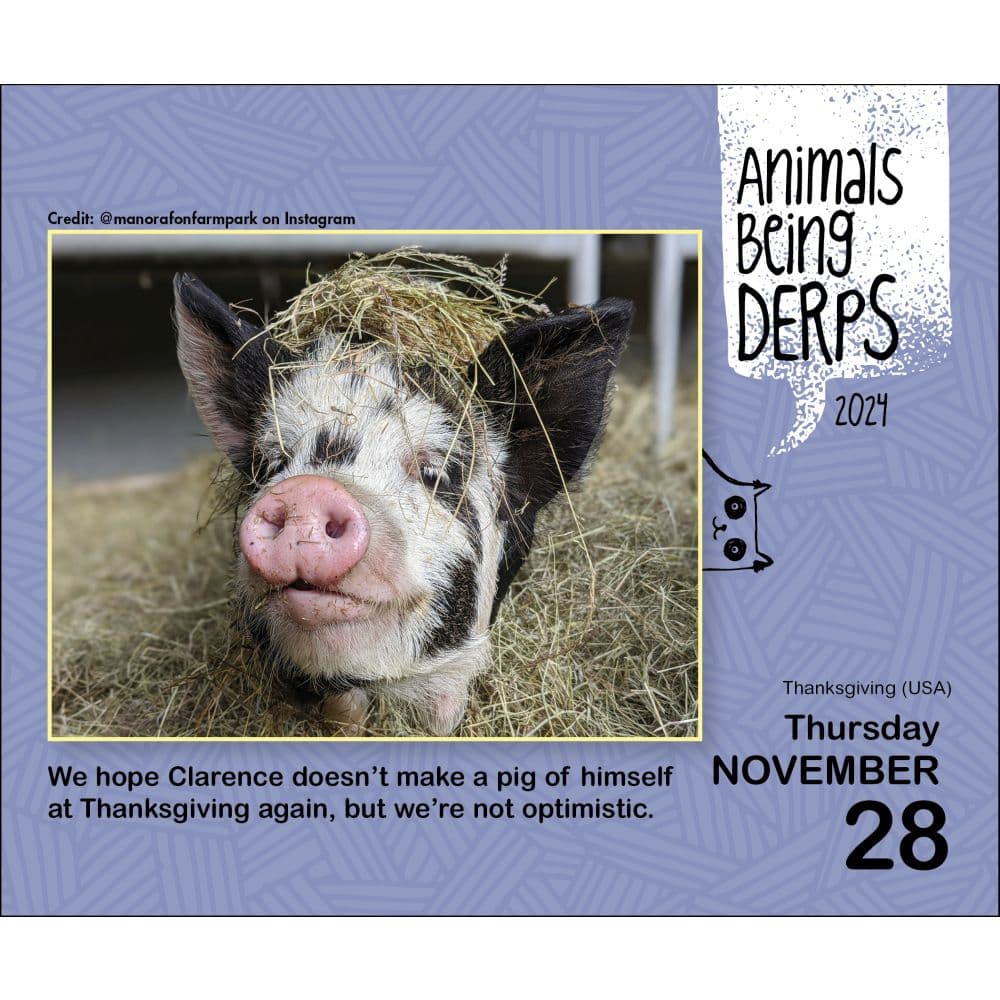 Animals Being Derps 2024 Desk Calendar