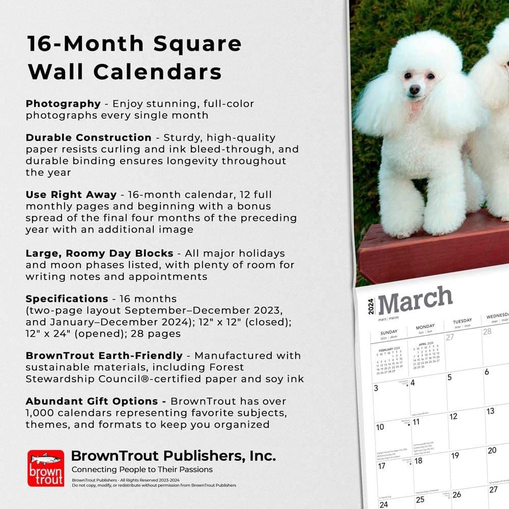 Miniature Toy Poodles 2024 Wall Calendar Fourth Alternate Image width=&quot;1000&quot; height=&quot;1000&quot;