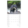 image In the Wild America Outdoorsman 2025 Wall Calendar