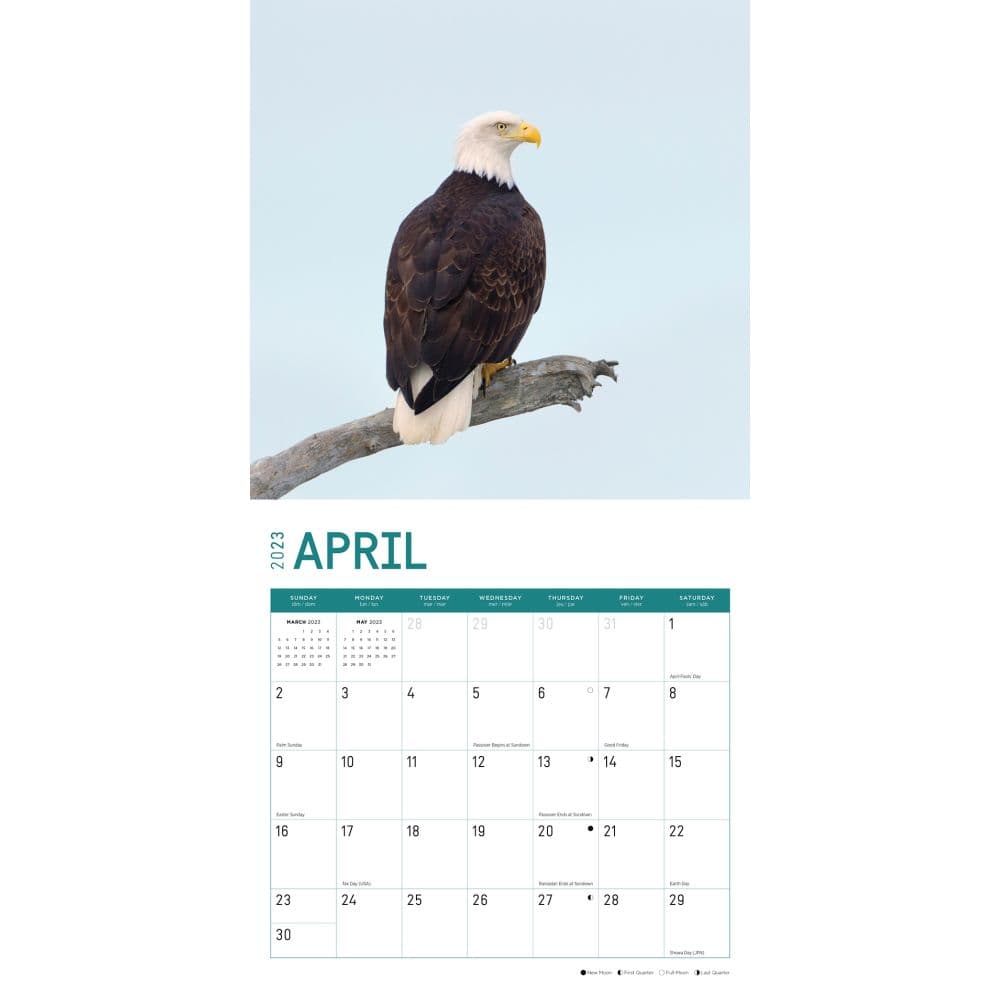 Bald-Eagles-2023-Wall-Calendar - Calendars.com