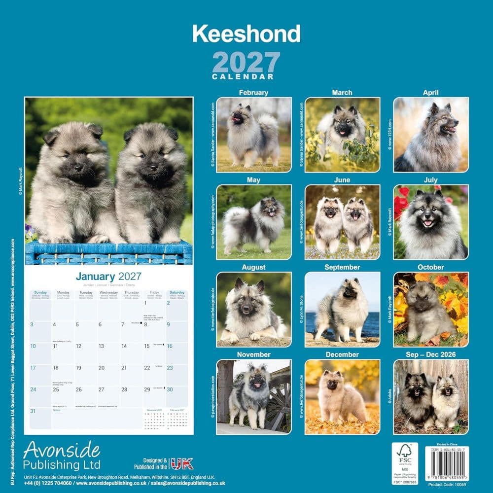Keeshond 2027 Wall Calendar First Alternate Image