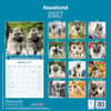 image Keeshond 2027 Wall Calendar First Alternate Image