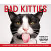 image Bad Kitties 2025 Desk Calendar Fifth Alternate Image