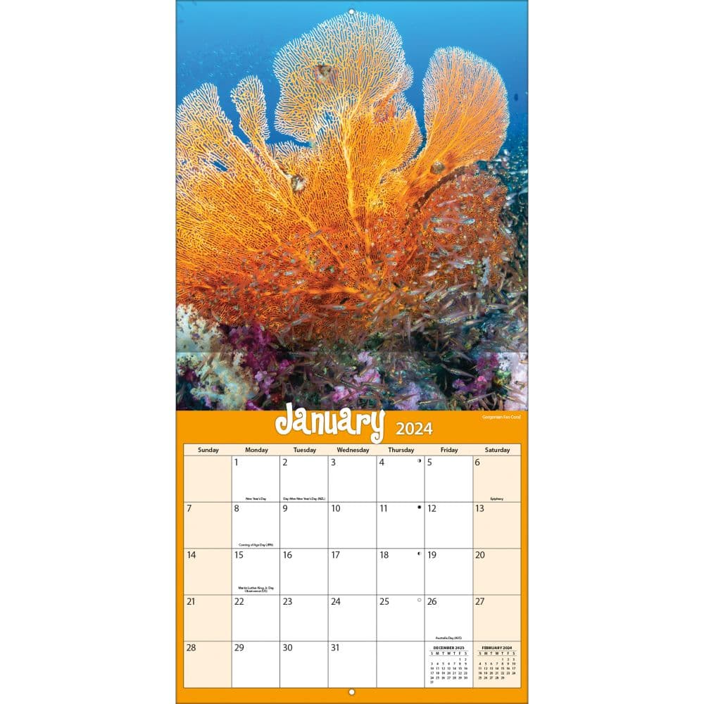 Coral Reef 2024 Wall Calendar