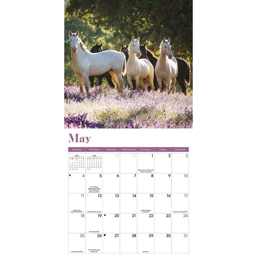 Horses 2025 Mini Wall Calendar Third Alternate Image width=&quot;1000&quot; height=&quot;1000&quot;