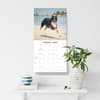 image Border Collies 2027 Wall Calendar Fifth  Alternate Image