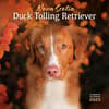 image Nova Scotia Duck Tolling Retriever 2025 Wall Calendar Main Image