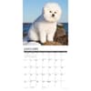 image Bichons Frises 2025 Wall Calendar