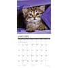 image What Kittens Teach Us 2025 Wall Calendar Second Alternate Image width=&quot;1000&quot; height=&quot;1000&quot;
