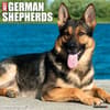 image Just German Shepherds 2025 Wall Calendar Main Image