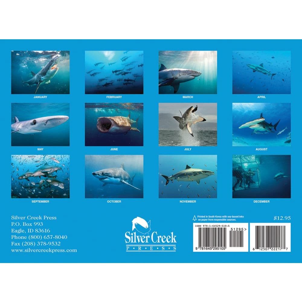 Sharks 2022 Wall Calendar - Calendars.com